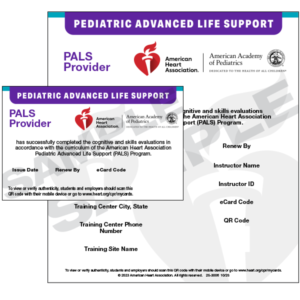 PALS Provider